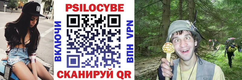 Псилоцибиновые грибы мицелий  Купить закладки  Бийск